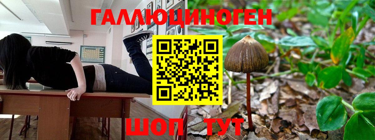 Печора  Псилоцибиновые грибы MAGIC MUSHROOMS  Вход с VPN 